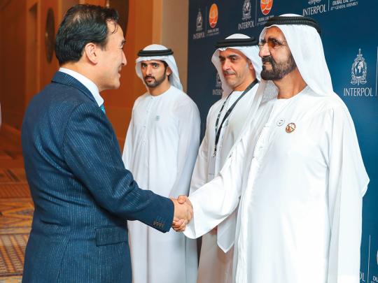 ‘UAE will continue to support war against terrorism’