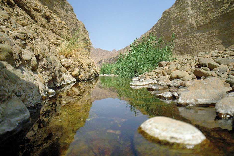 Unesco Declares Wadi Wurayah As Biosphere Reserve