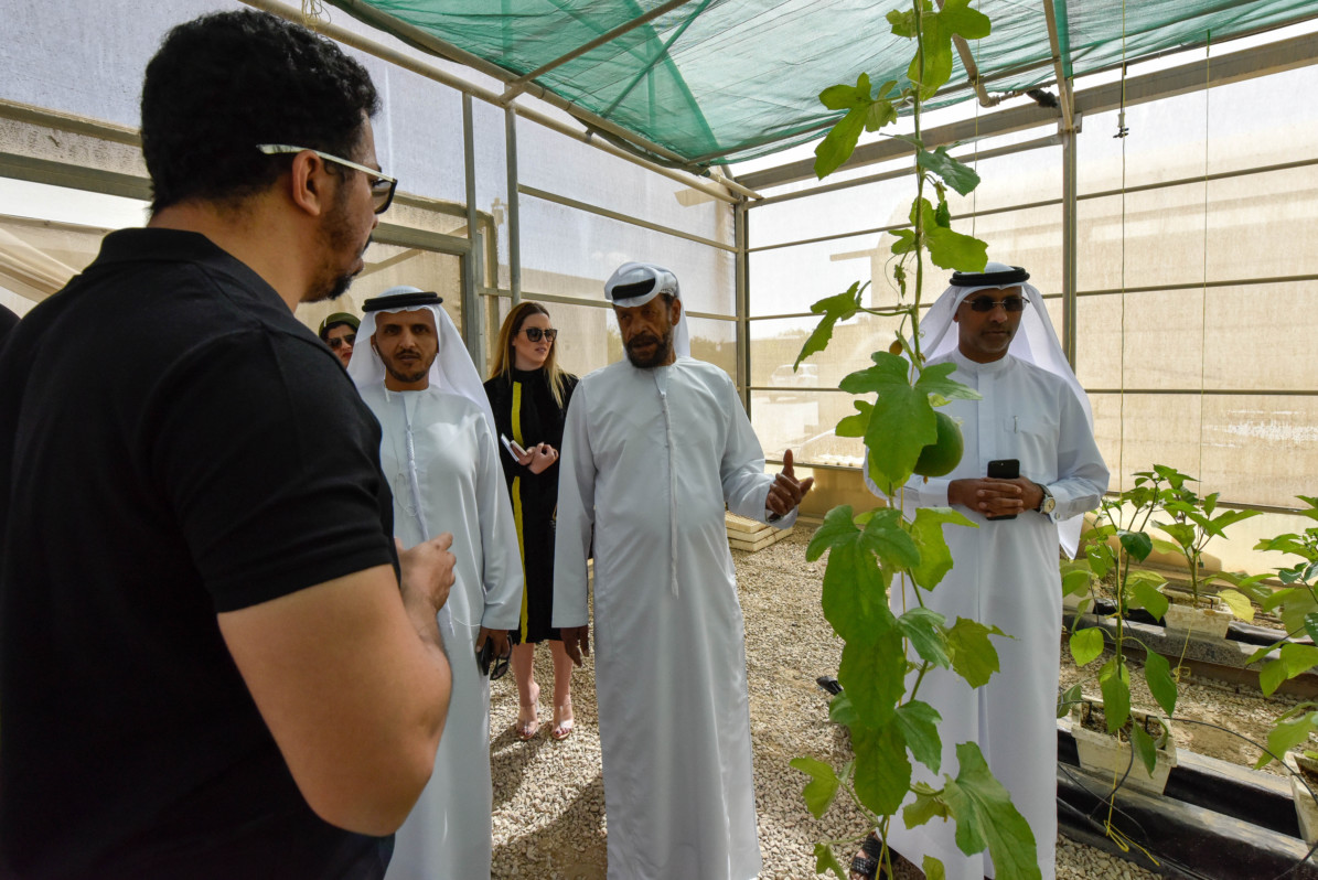 UAE farmers embrace agri-technologies